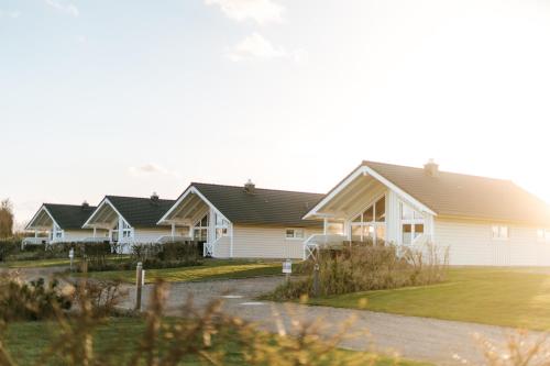 a row of houses in a subdivision at Luxuswellnesshaus Ostwind in Bliesdorf