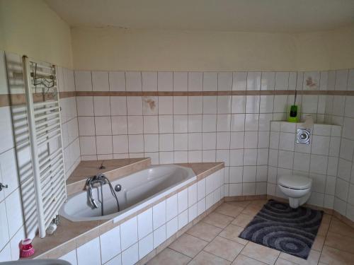 a bathroom with a tub and a toilet at Gute Laune 3 in Zapel
