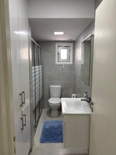 a small bathroom with a toilet and a sink at Lazuli Sea View Beachfront Ap 43 in Larnaca