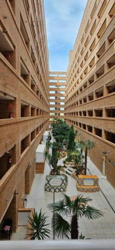 Apartamento 2ªLínea