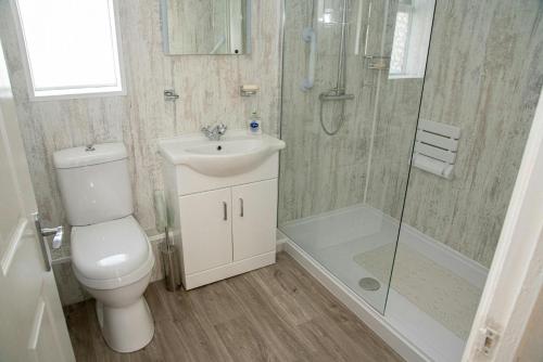 a bathroom with a toilet and a shower and a sink at Y Beudy at Coed Melin Aberporth in Tremain