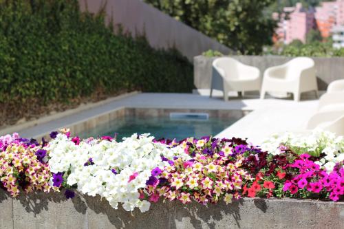 a bunch of flowers in a planter next to a pool at ma-la studios Guimarães in Guimarães