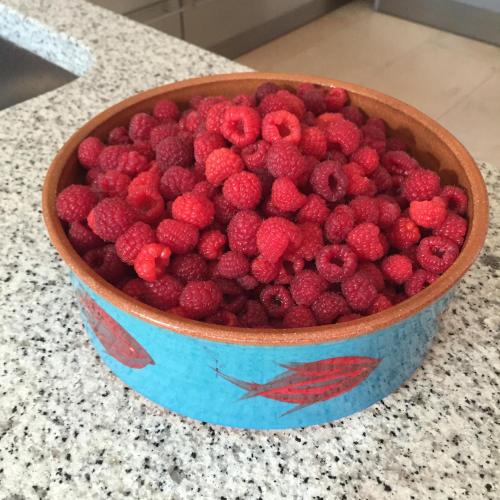 Mad på pensionatet eller i nærheden