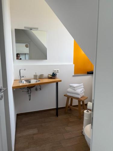 a bathroom with a sink and a mirror at Edelhof1877 in Thedinghausen