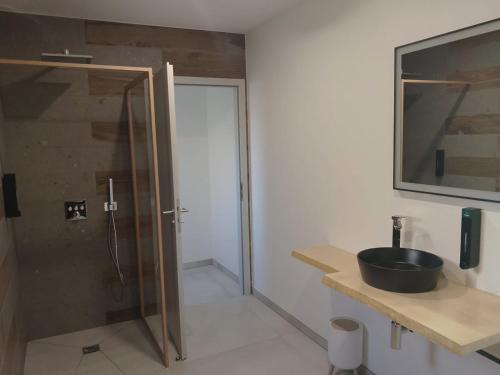 Un baño con ducha de cristal y lavabo. en O'Cocoon, en Fraize