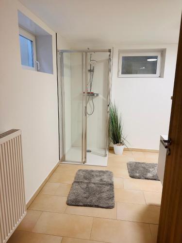 a bathroom with a shower and two rugs at FeWo zum Heuweg in Hofkirchen