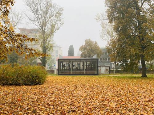a building sitting on top of a pile of leaves at u Mari in Piešťany