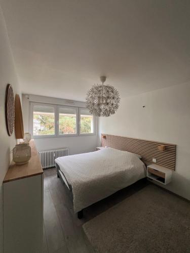 Appartement entier sympathique 45m2