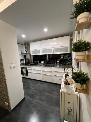 Appartement entier sympathique 45m2