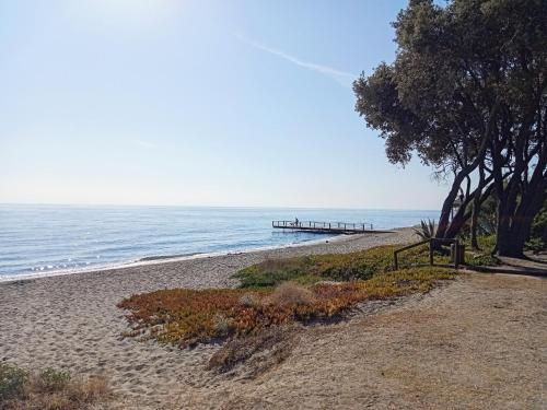 une plage de sable avec une jetée dans l'océan dans l'établissement studio à 100m de la plage et de la piscine, à Cervione