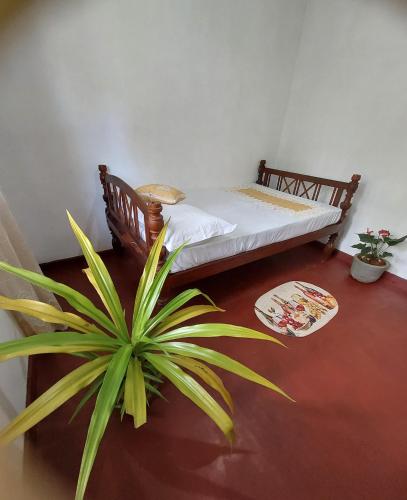a room with a bed and a plant in it at Golden Breeze Villa Bentota in Beruwala