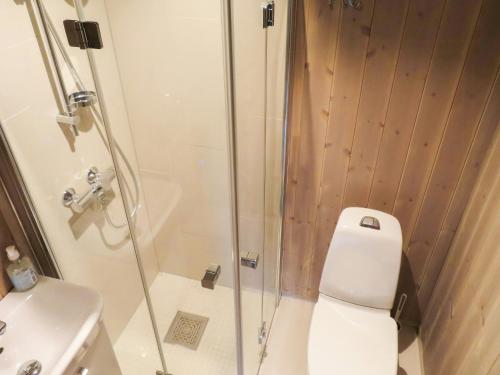 een badkamer met douche, toilet en wastafel bij Modern Cabin With Panoramic Views In Nøsen in Lykkja