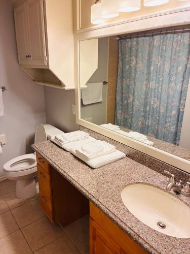 a bathroom with a sink and a toilet and a mirror at Paradise on the Prairie in Oklahoma City