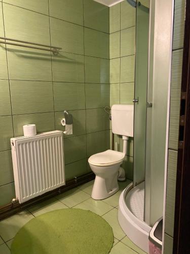 a green bathroom with a toilet and a radiator at Pensiunea Iulia in Bran