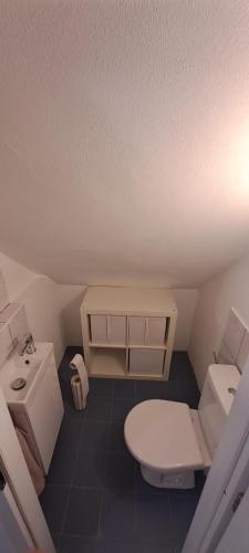 a small bathroom with a toilet and a sink at Ubytování Lipová in Jihlava