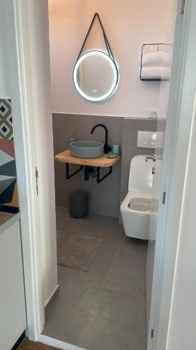a bathroom with a sink and a toilet and a mirror at Bachner Rental Fagaras in Făgăraş