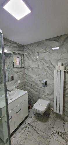 a bathroom with a marble wall with a toilet and a sink at Cheile Braitei in Lupeni