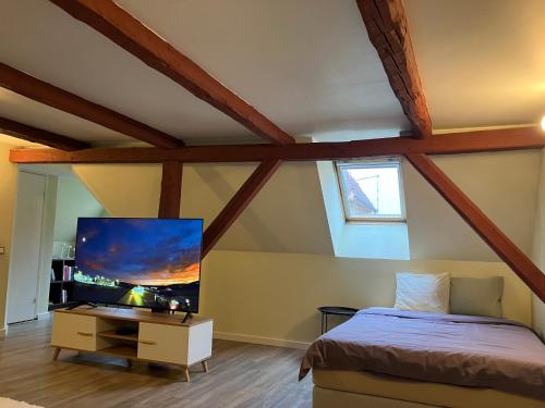 Un televizor și/sau centru de divertisment la City View Loft