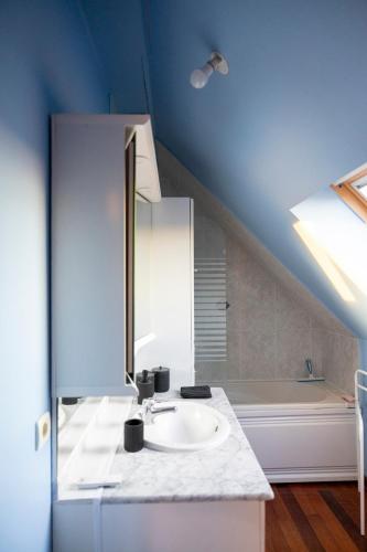 a bathroom with a sink and a bath tub at Gite de la route du blé in Alluyes