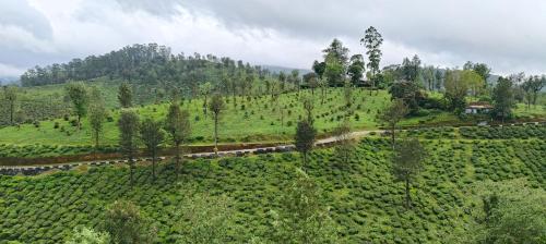 Φυσικό τοπίο κοντά σε αυτό το δωμάτιο σε οικογενειακή κατοικία