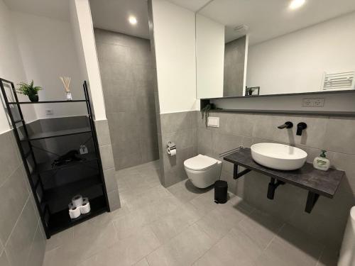 a bathroom with a sink and a toilet at Modern Holiday Apartment in Osnabrück 13001 in Osnabrück