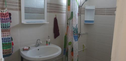 a bathroom with a sink and a shower curtain at Chez Marino & Charlie in Le Lamentin