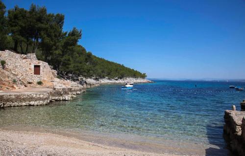 Pet Friendly Apartment In Hvar With Wifi