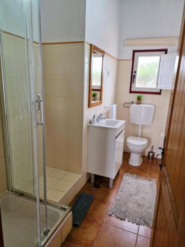 a bathroom with a shower and a sink and a toilet at Casa Silva in Zambujeira do Mar