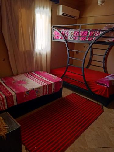 two bunk beds in a room with red mats at بلوباى آسيا العين السخنه in Ain Sokhna