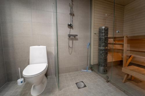 a bathroom with a toilet and a shower at Snowflake X in Rovaniemi