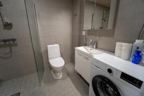 ロヴァニエミにあるSnowflake IXのトイレと洗濯機を備えたバスルーム