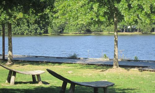a bench sitting next to a lake with a dock at Bed and Cèpes in Busserolles