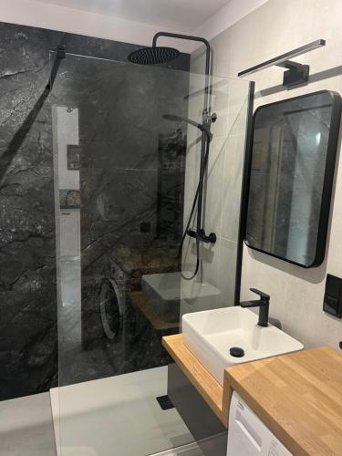 a bathroom with a shower and a sink at Ruczaj Cozy Room in Krakow