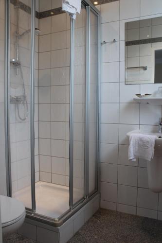 a bathroom with a shower and a toilet at Hotel Restaurant Marienhof in Unterkirchbach