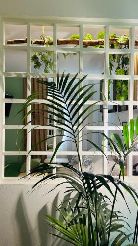 a room with a plant in front of a wall at BBSUITE21 Maranello in Maranello