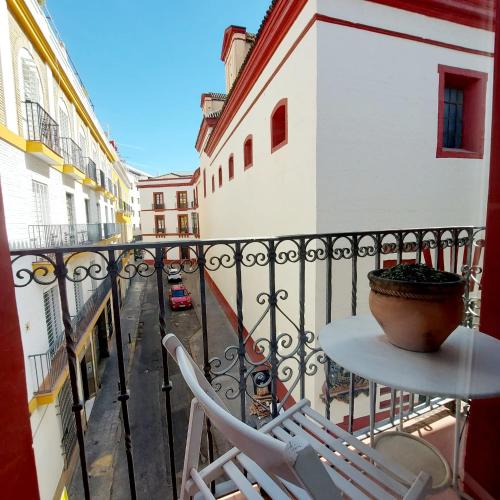 The City Shine by Plaza Nueva