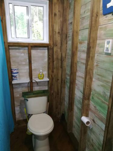 a bathroom with a toilet and a window at Runaway Pineapple Lodge in Mangrove Bight