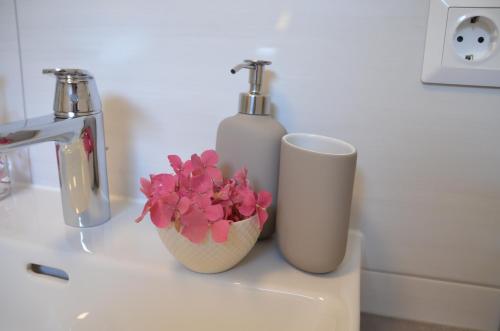 a bathroom sink with a bottle of soap and a plant at Ferienhäuser Tröster in Bad Kleinkirchheim