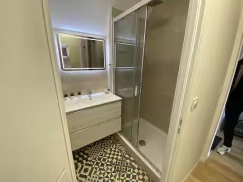 ein kleines Badezimmer mit Waschbecken und Dusche in der Unterkunft T3 with large roof-top terrace, harbor view in Gruissan