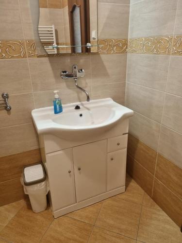 a bathroom with a sink and a mirror at Apartmány ORAVA-EDDA in Martinske Hole