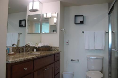 a bathroom with a sink and a toilet and a mirror at Oasis in the heart of Fort Myers in Fort Myers