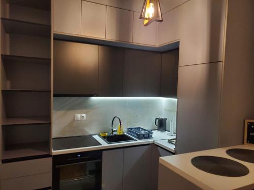 Η κουζίνα ή μικρή κουζίνα στο Studio Trebisnjica