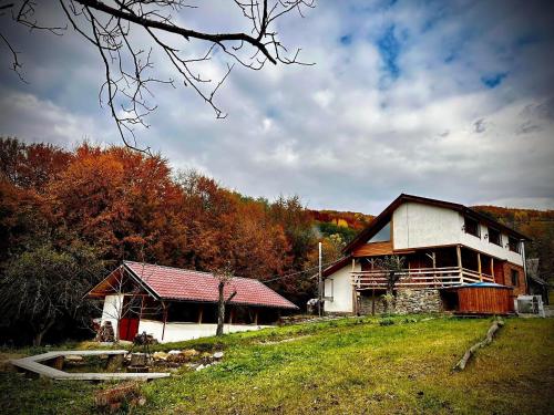 a house on a hill next to a field at Cabana Arini 1954 in Vişeu de Jos