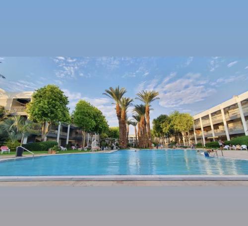 Πισίνα στο ή κοντά στο רויאל דרים אילת