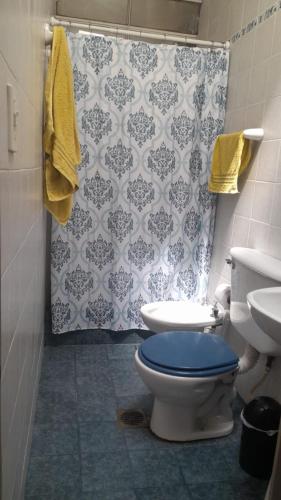 ein Badezimmer mit Toilette und Duschvorhang in der Unterkunft Casa con jardín y vista al cerro en Portezuelo Salta in Salta