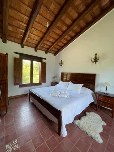 a bedroom with a large bed in a room at La Buyi, Casa de Campo mirando al Champaqui in San Javier