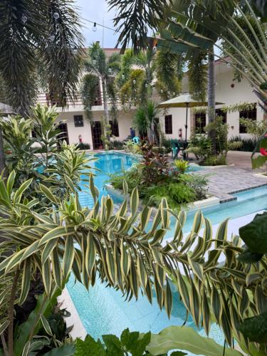 Piscine de l'établissement Softstone resort ou située à proximité