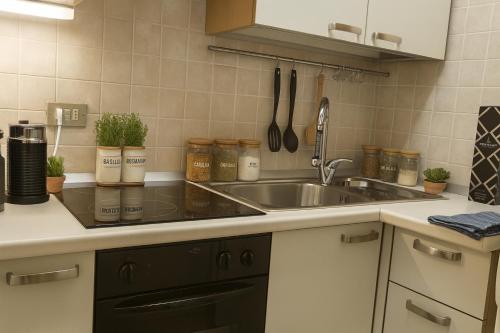 ペーイオ・フォンティにあるCasa Fioccoのシンクとカウンタートップのあるキッチン