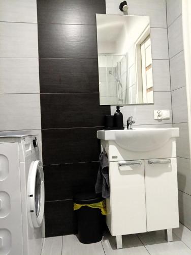 une salle de bain avec un lavabo et une machine à laver dans l'établissement Apartament dwupoziomowy Dom na patio Kościuszki self-check-in, à Katowice