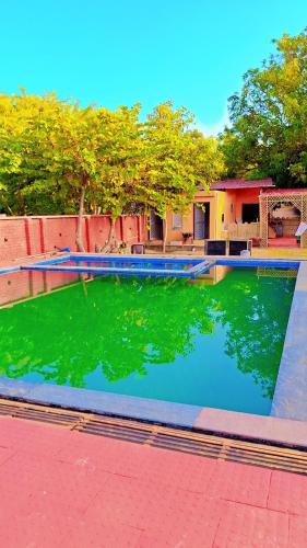 a pool of green water in front of a house at Blue Tree Resort in Pushkar